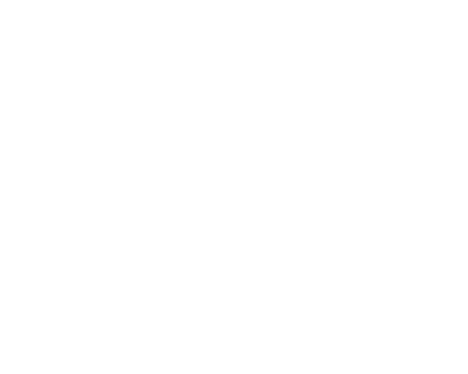 Andes BTC Trading